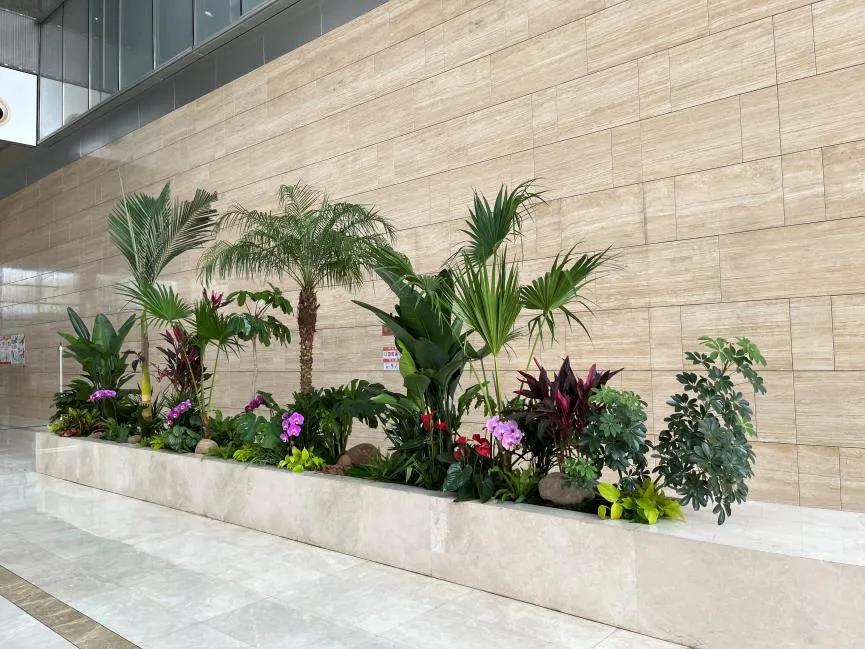 奉化绿植出租专业